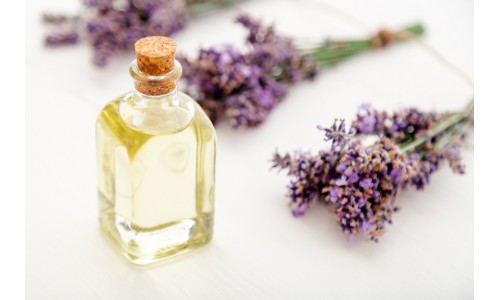 Lavanta Yağı: Mor Renkli Çiçeklerden Gelen Sakinlik